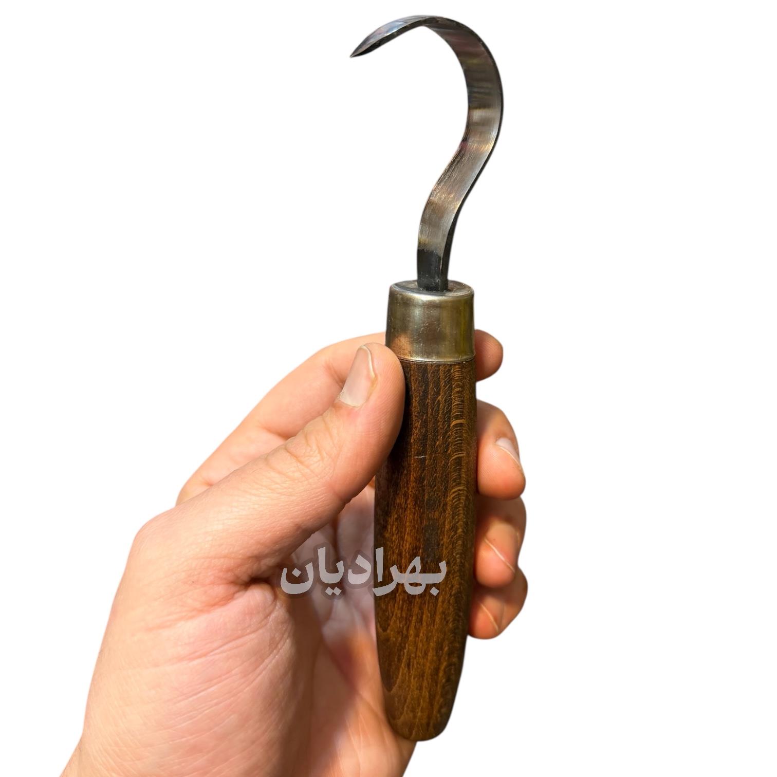 قو راست دست بزرگ 