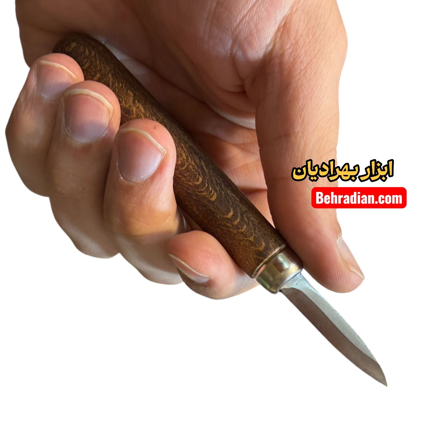دیتیل کاروینگ ظریف